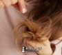 How to Repair Heat Damaged Hair Expert Tips for Healthier Hair 90x80
